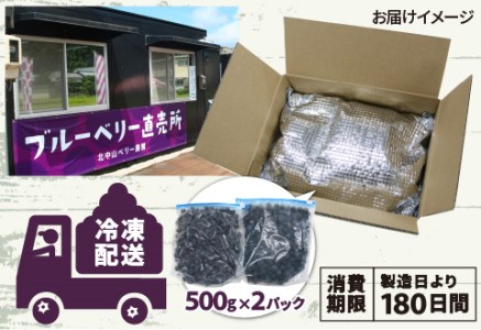 ＜7月以降先行予約開始予定＞【訳あり】令和7年産〈冷凍〉手摘み有機ブルーベリー1kg（500g × 2パック）