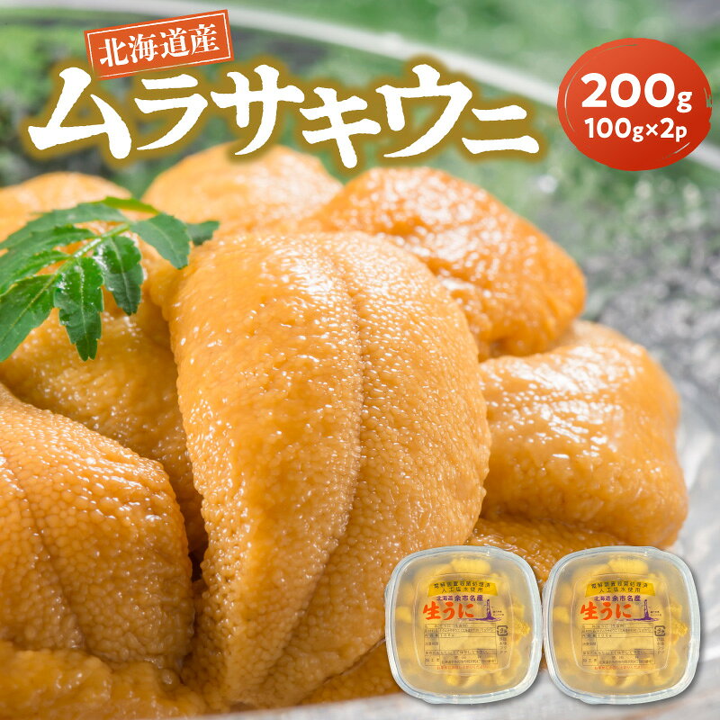 【ふるさと納税】【2027年夏発送】 塩水ウニ 【 ムラサキウニ 】 100g × 2パック 計 200g 北海道余市町産 冷蔵 生うに うに 海産物 魚介類 北海道産 余市産 甘味 強い 後味 爽やか 送料無料