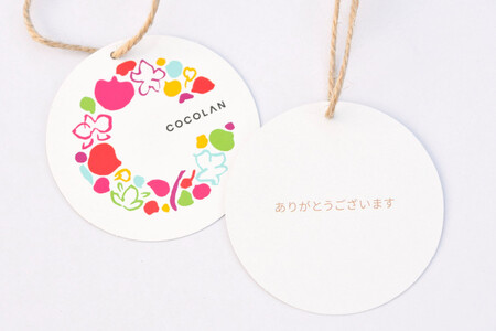 三木市で育てた大和ハウスのミニ胡蝶蘭 COCOLAN ベーシック（2本立ち） 【お花の色お任せ】