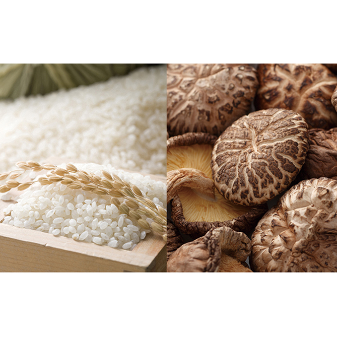 農匠泰山の音信米（おとずれまい）と乾椎茸のセット お米 加工食品 乾物 シイタケ 