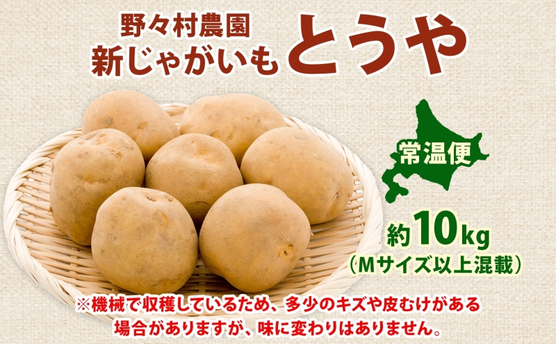 北海道 洞爺湖町産 新じゃがいも とうや 約10kg  Mサイズ以上混載 北海道産 新じゃが じゃがいも いも ジャガイモ 馬鈴薯 黄爵 芋 旬 野菜 農作物 送料無料 産地直送 常温 洞爺湖町
