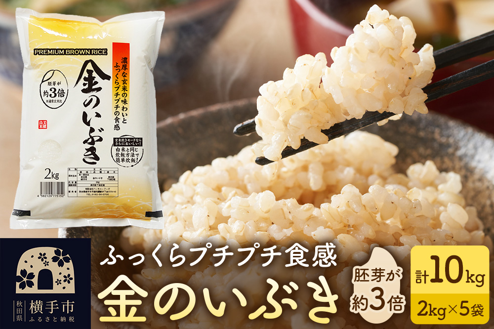 【玄米】令和6年産 金のいぶき 10kg（2kg×5袋）
