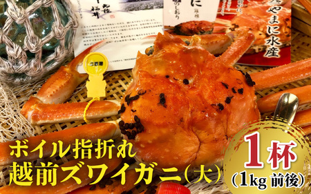 【先行予約】名人が茹でる 指折れ訳あり越前がに(大)1杯 1kg前後 やまに仕込み【3月発送分】 [K-4303_03]