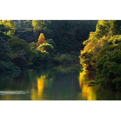 ふるさと納税 天理市 天理の風景2『 AUTUMN RADIANCE 〜 秋光 〜 』2Lメタルグラフィックアート