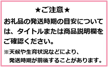 【訳あり】高級りんご「はるか」12～20玉（約5kg）【2024年産・先行予約】