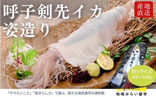 
            【呼子産】剣先イカ『姿造り』M1サイズ1杯(200g〜249g)
          