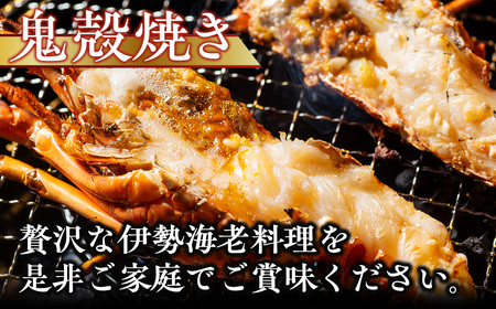 大伊勢海老（超特大 801～1000g）１尾　山庄水産／伊勢えび　三重県　南伊勢　ブランド　伊勢志摩