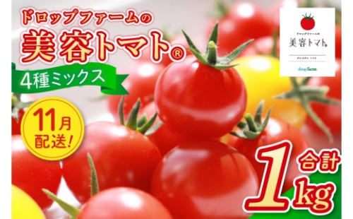 【11月発送】ドロップファームの美容トマトおまかせ1kg箱(４種ミックス)【とまと フルーツトマト 野菜ソムリエ 朝採れ アイコ イエローアイコ 小鈴 フルティカ 野菜 フレッシュ リコピン 大容量 茨城県 水戸市】（CK-107-11）