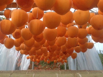 笛吹市産　枯露柿（干し柿）約800ｇ（12～16個） 205-010-26y