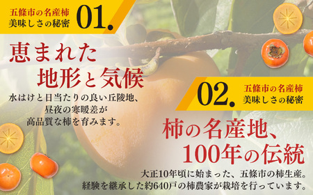 【堀内果実園】富有柿 贈答品 2Lサイズ 最高級の柿 12玉