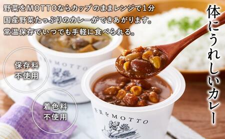 レンジで1分 野菜をMOTTO スープ カレー 3種 6個セット レトルト インスタント 国産 ダイエット ベジMOTTOスープ  具だくさん 時短 手軽