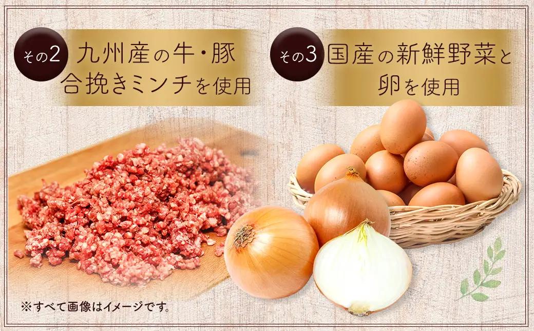 豆腐ハンバーグセット 100g×15個入 冷凍 レンジ・湯煎で簡単 小分け 12,000円 国産 熊本県あさぎり町