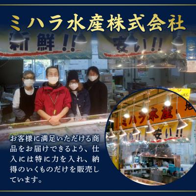 ふるさと納税 焼津市 天然まぐろ ネギトロ 焼津まぐろたたき 80g×12パック(a10-637) |  | 03