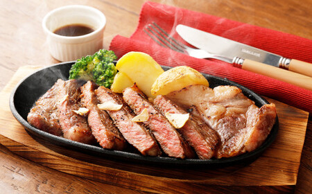 【3ヶ月定期便】 くまもと あか牛 サーロイン 500g（250g×2枚） 熊本 牛肉 お肉 ステーキ 和牛