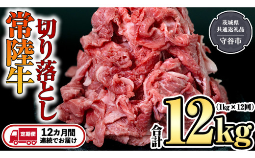 
【定期便】 全12回 【 常陸牛 】 切り落とし 1kg （茨城県共通返礼品 製造地：守谷市） 国産 切落し 焼肉 焼き肉 お肉 A4ランク A5ランク ブランド牛
