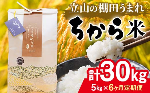 【6回 定期便 】立山のちから米 コシヒカリ 5kg×6回 総計30kg たてやま 米 こめ お米 コメ 精米 白米 こしひかり 美味しい 富山県 立山町 F6T-539