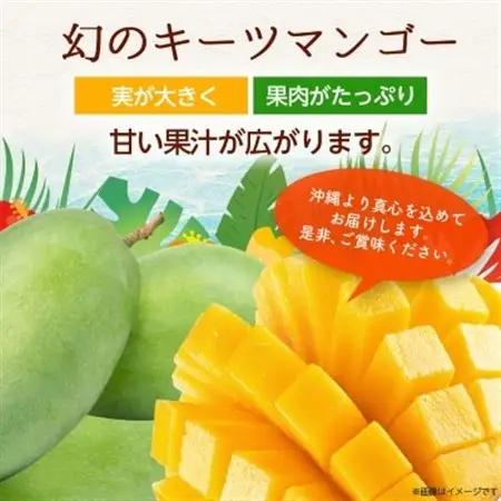 【2027年8月中旬から順次発送・化粧箱】JAおきなわ厳選!沖縄県産キーツマンゴー2kg(2～3玉)【配送不可地域：離島】【1494471】