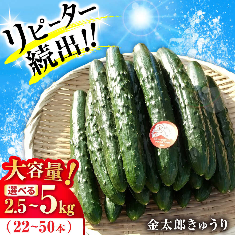【ふるさと納税】【先行予約】【選べる容量】金太郎きゅうり 2.5kg〜5kg 滋賀県長浜市/ミヤベアグリックファーム[AQDD001] きゅうり キュウリ 胡瓜 野菜 やさい ヤサイ 新鮮 冷蔵