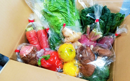 【6回定期便】高知県産 土佐季節の野菜詰め合せセット/隔月 2ヵ月に1回 野菜 定期 お野菜 高知 やさい 季節もの 【香稜苑】[ATBQ011]