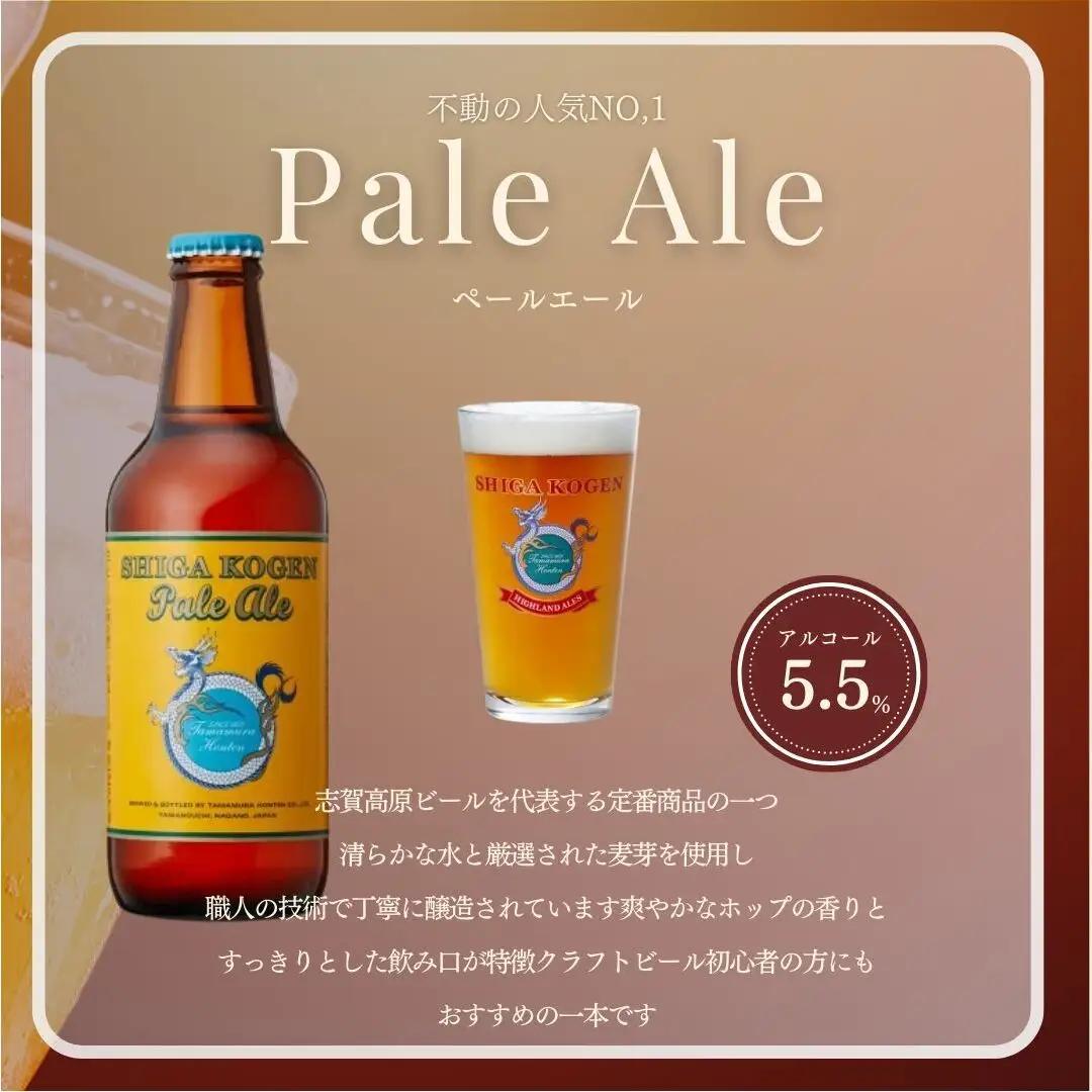 定期便 3ヶ月 クラフトビール 志賀高原ビール 24本 セット 玉村本店 クラフトビール