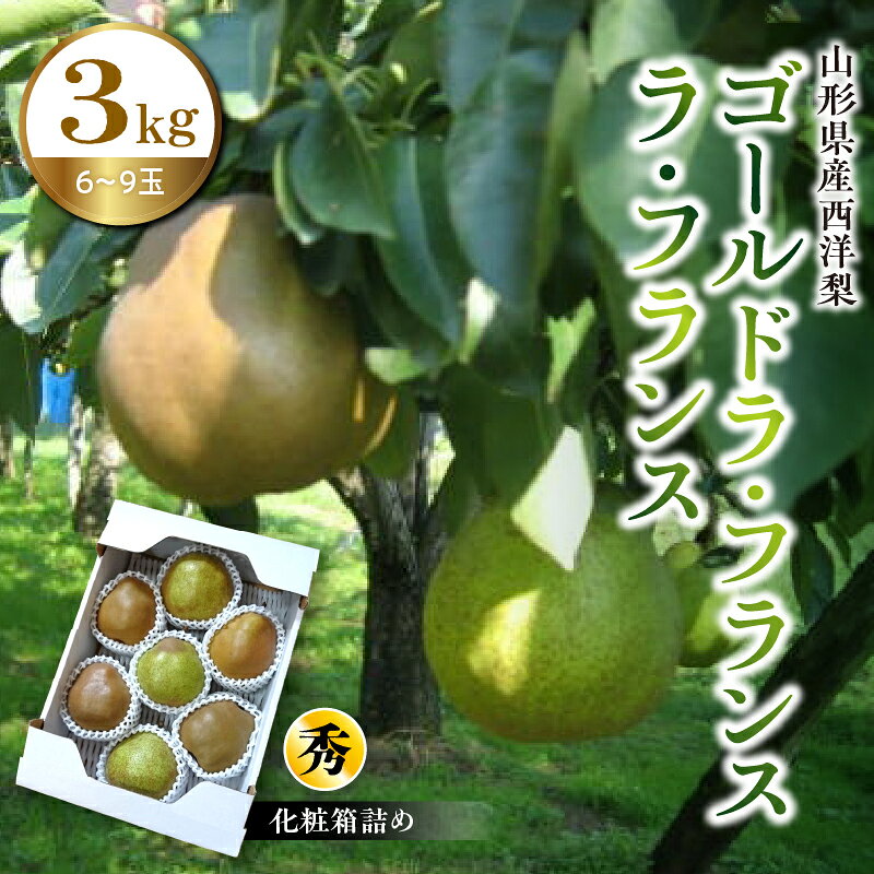 【ふるさと納税】 ゴールド ラ・フランス と ラ・フランス 詰合せ 3kg 秀品 西洋梨 山形県 上山市 0096-2603