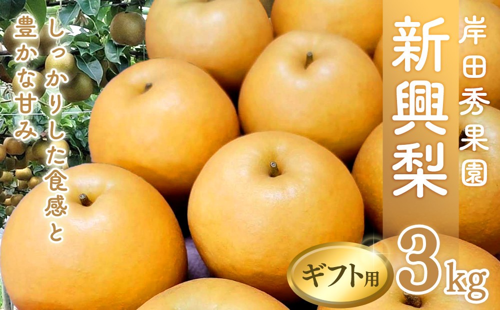 
                  岸田秀果園 新興梨 (ギフト用) 3kg【10月頃お届け】
                