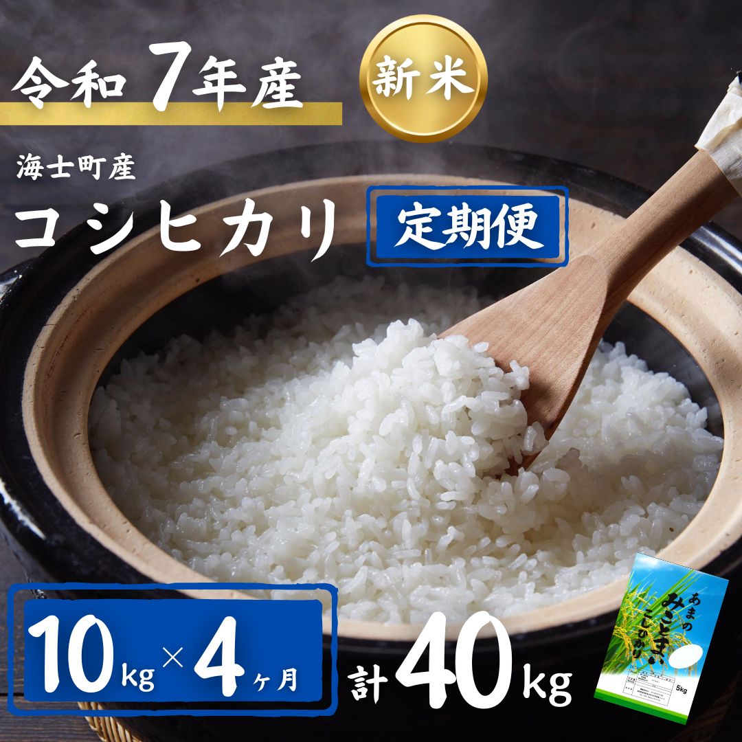 【定期便4ヵ月】計40kg！コシヒカリ 10kg×4か月定期便 | 7年産 新米 お米 精米 白米 弁当 ごはん ご飯 こしひかり コシヒカリ 令和 ギフト 10kg 40kg |
