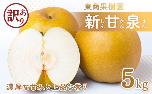 
                  東商果樹園 新甘泉 (訳あり) 5kg【8月下旬以降お届け】
                