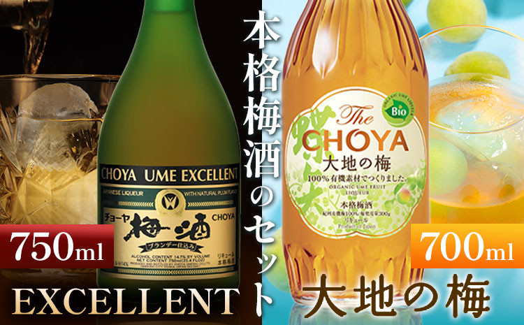 
                  THE CHOYA 大地の梅 700ml EXCELLENT エクセレント 750ml 計2本 セット 飲み比べ 羽曳野商工振興株式会社《30日以内に出荷予定(土日祝除く)》大阪府 羽曳野市 送料無料 梅酒 梅 酒 CHOYA チョーヤ チョーヤ梅酒 お酒 紀州 南高梅
                