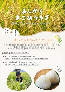 【体験日　10月11日・12月20日】　家族みんなで地域体験！あしがらおこめクラブ　秋のお米の収穫＆冬の餅つき・味噌づくり 体験チケット【 利用券 神奈川県 南足柄市 】