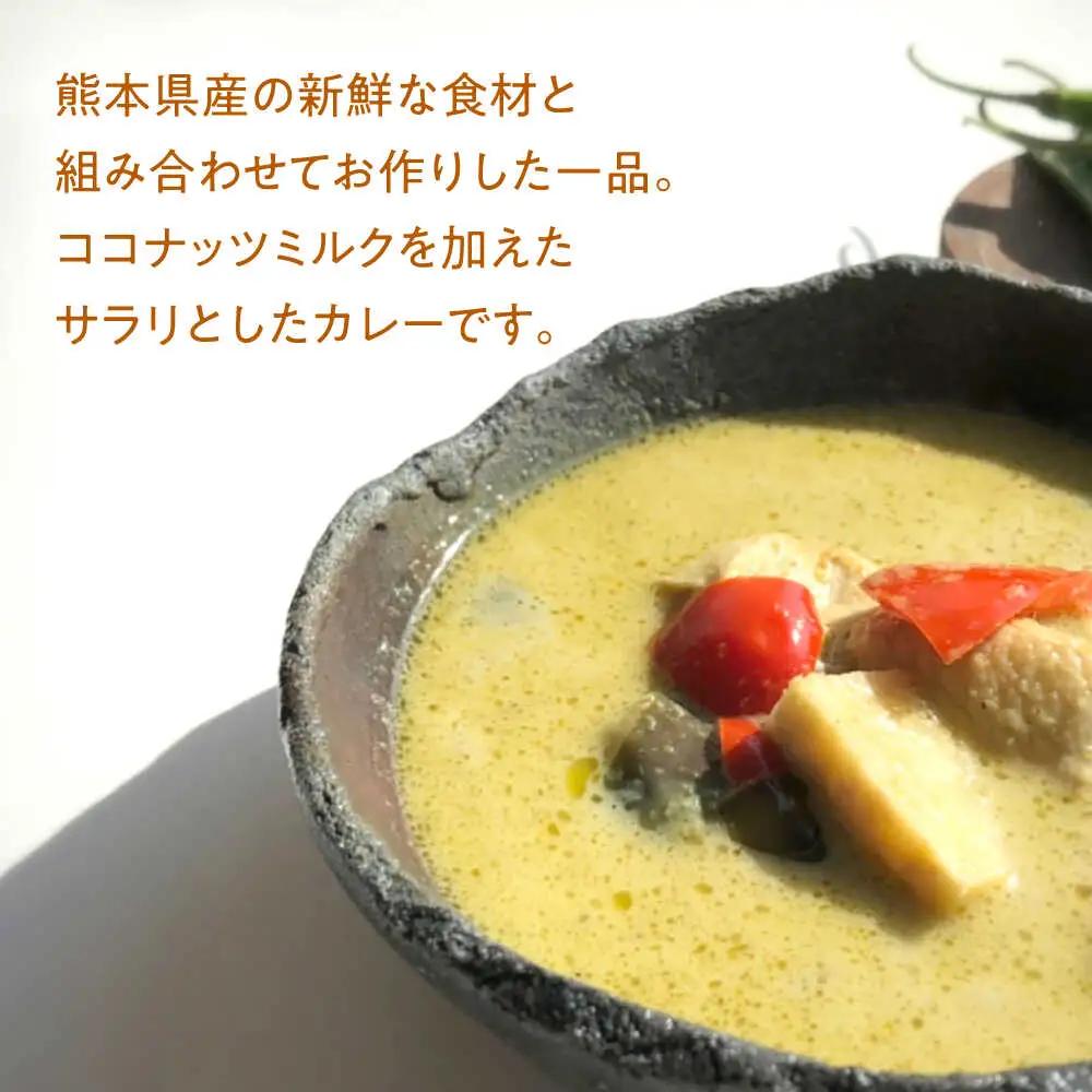 【全6回定期便】グリーンカレー 約180g×5パック 計900ｇセット 【SOUP LAB】[AYAK015]