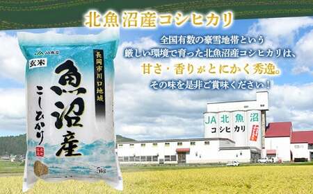 5F05-1【玄米】北魚沼産コシヒカリ5kg（長岡川口地域）