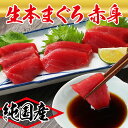 【ふるさと納税】【冷蔵・指定日着可】国産 生本マグロ 赤身 250g～750g（柵どり/ 送料 無料 福井県 越前市 鮪 未冷凍 生まぐろ 生マグロ 本鮪 新鮮 お刺身 おさしみ お造り 切り身 切身 海鮮 海鮮丼 まぐろ丼 発送時期が選べる (18209）