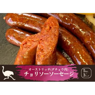 ふるさと納税 山梨県 山梨産ダチョウ肉のチョリソーソーセージ 15本(420g)