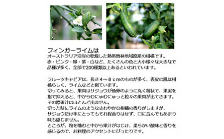 【先行予約】 フィンガーライム 約100g 100グラム〈2026年9月上旬?2026年11月下旬頃発送〉  / 当店おまかせ 果物 くだもの 果実 柑橘類 柑橘 フレッシュ 新鮮 お酒 果実酒 ジュ