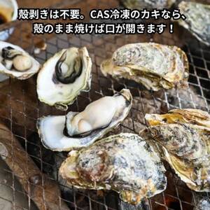 特上・篠島の殻付き真牡蠣1kgセット(生食用かき・CAS冷凍カキ)海鮮バーベキューBBQ、浜焼きに【配送不可地域：離島】【1405142】