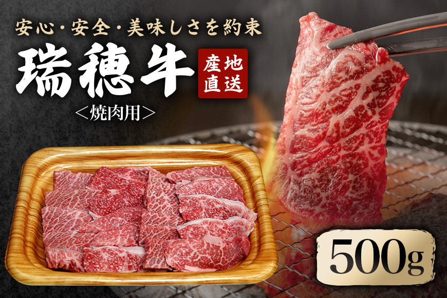 
            瑞穂牛焼肉セット 約500g 牛肉 やきにく バラ 肩ロース 肩 肩バラ トモサンカク イチボ ブランド牛 冷凍配送 茨城県 お中元 焼肉の日 敬老の日 瑞穂牛 焼肉 10種 盛り合わせ 食べ比べ 国産 肉 BBQ セット ho0858
          