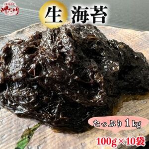 岬だより 生海苔(冷凍)100g×10袋(1kg) [配送不可地域：離島]