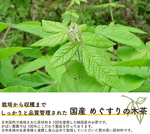 国産 めぐすりの木茶（3個セット）：B180-017_イメージ4