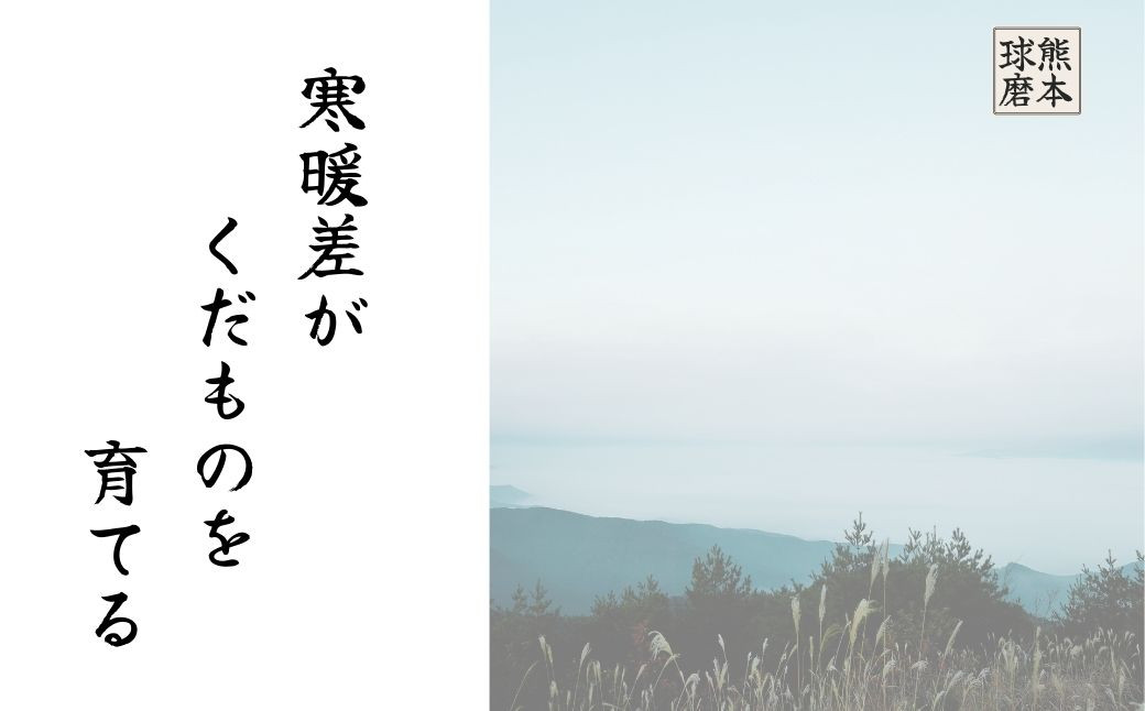 【発送時期：2026年8月上旬～10月上旬】熊本県ＪＡくま産　球磨の梨　5kg（12・14・16玉　旬な品種）