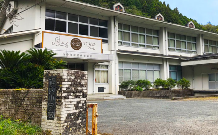毎週土曜日お届け限定 活きヨーロッパイエコオロギ Mサイズ300匹／コオロギ 生餌 こおろぎ ペット用 爬虫類 エサ 餌 内子町 四国 愛媛県 【株式会社ヒューネット風の谷うちこおろぎファーム】 [B