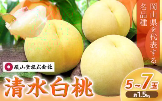 【2026年先行予約】桃 もも 清水白桃 5～7玉 約1.5kg 岡山県産 環山堂株式会社【配送不可地域あり】《2026年7月中旬-7月下旬頃出荷》岡山県 浅口市 白桃 果物 フルーツ 送料無料