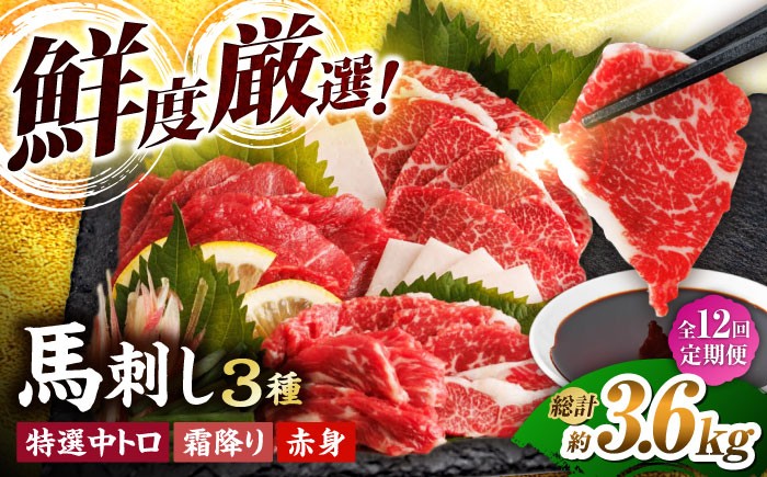 
            【12回定期便】馬刺し バラエティセット 3種類 ～3・4人前～ ＋タレ小 馬刺し 食べ比べ セット 特選霜降り馬刺し 霜降り馬刺し 馬刺し 馬肉 桜肉 馬 肉 霜降り 中トロ 赤身 タレ付き 冷凍 生食 肉食 刺身 九州 熊本県 特産品 山鹿 送料無料【馬刺しの郷 民守】[ZBL104]
          