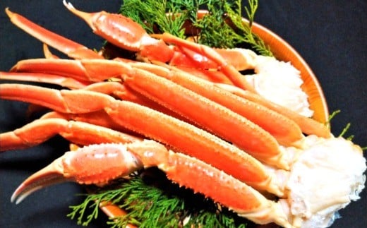 
            【G0697】ボイルズワイガニ　２L（化粧箱入り）
          