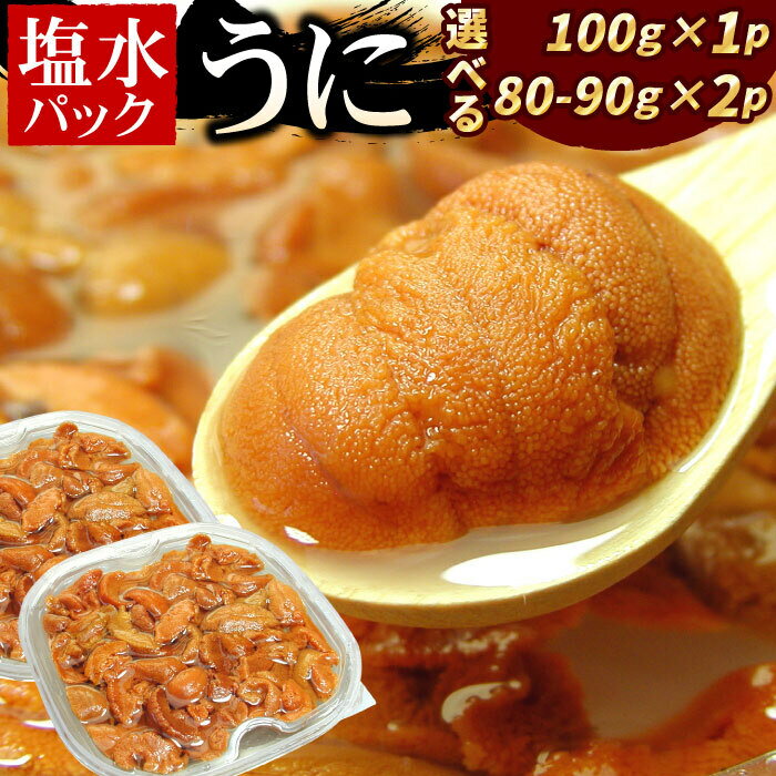 【ふるさと納税】エゾバフンウニ(赤色)塩水パック 選べる 100g×1P 80〜90g×2P うに ウニ 雲丹 バフンウニ エゾバフンうに 海鮮 塩水 北海道 根室市