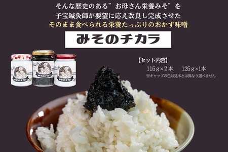 (10090) 子宝の栄養おかず味噌 「みそのチカラ」3本セット