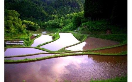 【阿蘇小国産】小国郷のお米　あきげしき5kg（精米）