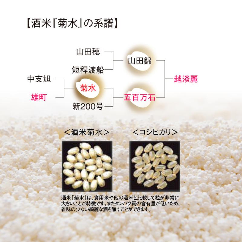 日本酒 地酒 菊水 純米大吟醸原酒 酒米菊水 四合瓶 720ml｜ 純米大吟醸 原酒 ギフト 贈答用 プレゼント 父の日 年末年始 菊水酒造 新潟県 新発田市 】 E32_01