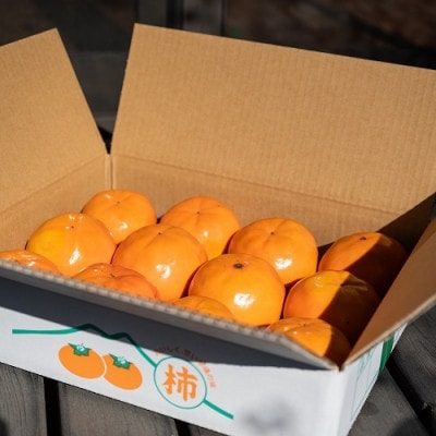 かすみがうら市産 完全甘柿「陽豊」と「富有」セット 3.5kg以上(9～12個)