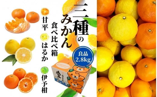 【三種のみかん食べ比べ箱】甘平・はるか・宮内伊予柑 （良品）約2.8kg ＜2025年2月頃発送＞ 愛媛 松山 みかん 詰め合わせ 先行予約 蜜柑 柑橘 果物 くだもの フルーツ お取り寄せ グルメ 期間限定 数量限定 人気 おすすめ 愛媛県 松山市